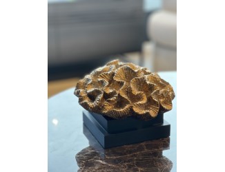 Luxe goud koraal 